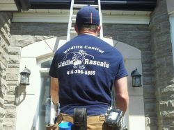 Liddle Rascals | Wildlife Removal Pickering