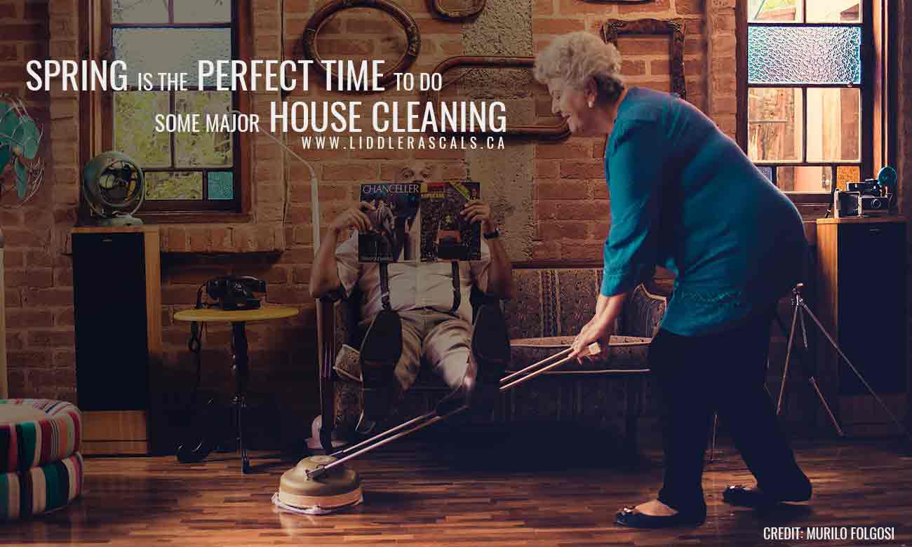 6 Ways to Prevent Pests While Spring Cleaning