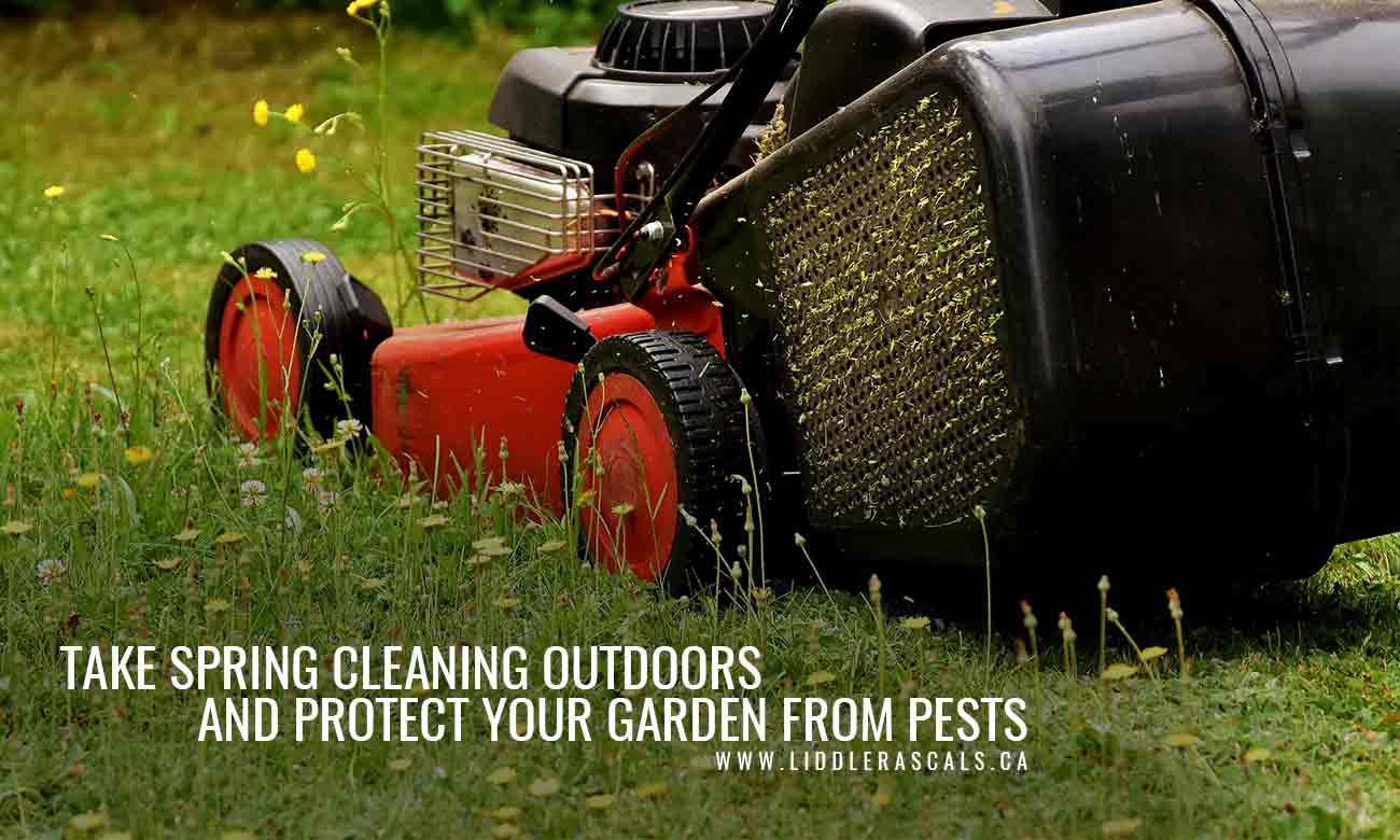 6 Ways to Prevent Pests While Spring Cleaning